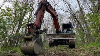 Clearing Brush with the Mini  Kubota KX0804 Compact Excavator [upl. by Tertia280]