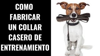 🎯COMO FABRICAR UN COLLAR CASERO DE ADIESTRAMIENTO PARA PERROS 💢 🛑 🚀 [upl. by Betti]