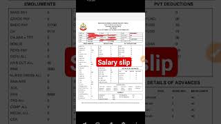 BSF salary slip bsf salary shorts army crpf rupye viral trending [upl. by Delamare]