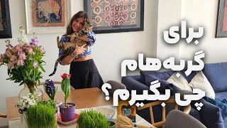 چه چیزهایی برای گربه‌ها بخریم و چه چیزهایی نه؟ [upl. by Press]