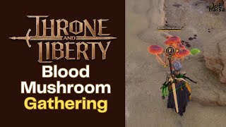 Blood Mushroom Gathering Throne and Liberty Guide [upl. by Don]