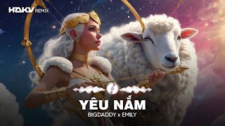 Yêu Nắm  Haky Remix   BIGDADDY x EMILY [upl. by Elsey230]