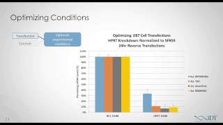 Planning and Executing In Vitro siRNA Experiments [upl. by Zil]