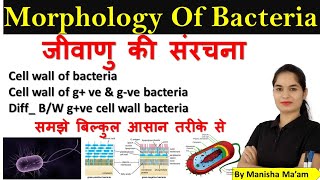 Morphology of Bacteria in hindi  Bacterial Structure  Bacteriology  Microbiology lecture [upl. by Bak]