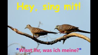 🎵🤍🐦🎶😊💃🌼🌻🕺🏽🌍😀👀quotWisst ihr was ich meinequot  Kinder u Volkslieder  Liedtext Notenlink ↓InfoBoxquot [upl. by Otsedom490]