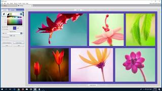 How to create a Picture Collage Picasa 3 [upl. by Anehta]