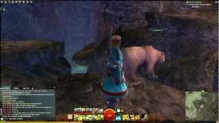 Guild Wars 2  Queensdale Jumping Puzzle  Human Starting area secret [upl. by Assenat]