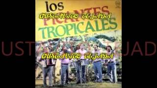 LOS PICANTES TROPICALES ENGANCHADO [upl. by Annat]