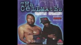 Tha Cellmates  Niggaz Kill Me HD [upl. by Nnyleimaj89]