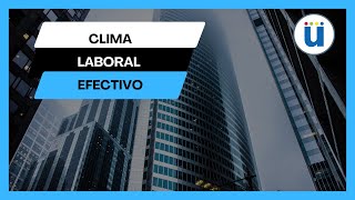 Clima Laboral Efectivo [upl. by Friederike356]