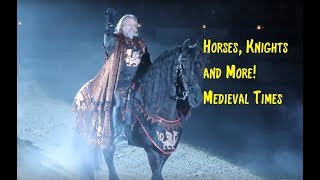 Medieval Times Orlando  We are the Shuklas  Horses Knights and more battle [upl. by Eneleahcim45]