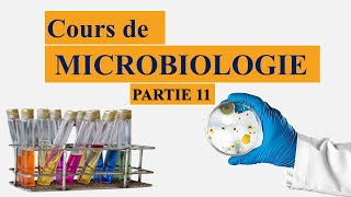 cours de microbiologie partie 11  cytoplasme ribosomes  chromatophores  vacuoles  ADN plasmide [upl. by Dwight]