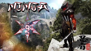 Black Desert Ninja SuccessionТрадный Ниндзя Как делать 30к итемок в гайфе [upl. by Alban]