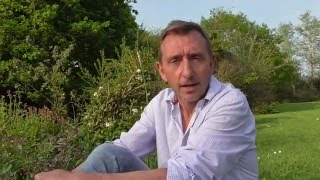 Prof Dave Goulson investigates pesticides And Bees [upl. by Wang865]