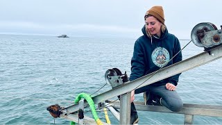 What a 10Ounce Day Looks Like on a Bering Sea Gold Dredge [upl. by Sekoorb]