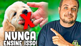 JAMAIS ENSINE ISSO PARA O SEU CACHORRO FILHOTE [upl. by Catlee677]