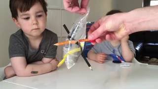 Plastic bag science experiment for kids [upl. by Virnelli911]