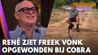 René ziet Freek Vonk opgewonden bij cobra Wat zou er gebeuren als hij een lekker wijf tegenkomt [upl. by Ambrosi88]