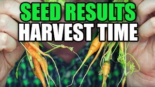 Harvest Time Results Are Expensive Seeds Better  EpicReviewGuys CC [upl. by Musa449]