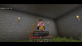 Stoneblock 2 Bedrock  Ep 10 Squidgyfaceplays Cow 5 Chance Cubes amp I Need Help [upl. by Eileme]