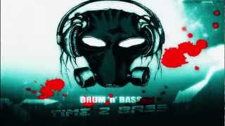 DRUM n BASS  Time 2 BASS [upl. by Koziara]