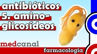 Aminoglicosídeos  ANTIBIOTICOTERAPIA Vídeo 5 [upl. by Nilson317]