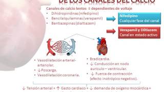 Metabolismo del Calcio Vitamina D 1 de 5 [upl. by Jacobah181]