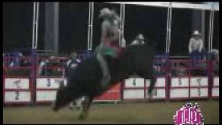 Bucking Hell Rodeo Downunder  Caboolture Rodeo 2009 [upl. by Appleton871]