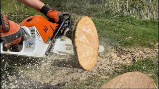 STIHL MS 500i fuel Injected Chainsaw SOUNDS AWESOME [upl. by Byers]