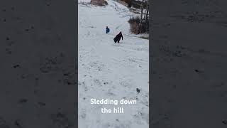 Sledding down the hill [upl. by Tymothy918]