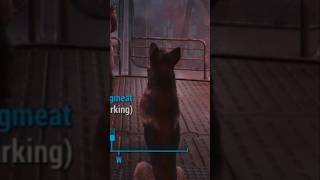 Dont Remember Dogmeat Doing This In Fallout 4 [upl. by Kellsie874]