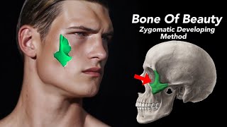 Zygomatic Bone How To Develop Zygomatic Bone [upl. by Crain]