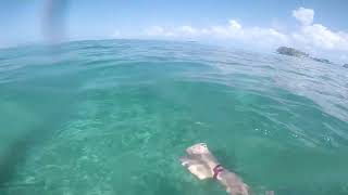 Snorkelling in Kuredu Maldives [upl. by Byrn]