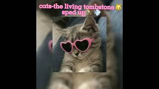 catsthe living tombstonesped up [upl. by Dalston]