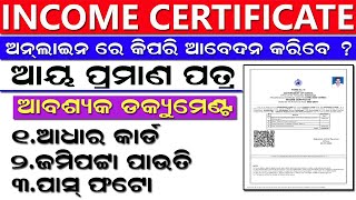 How to Apply Income Certificate in 2024 l Income Certificate Apply Odisha Income Certificate Online [upl. by Atiuqes]