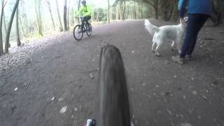 Downhill Mountain Biking Wendover Woods [upl. by Hafeenah]