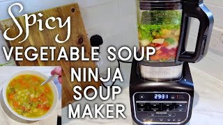 Delicious Spicy Vegetable Soup In The Ninja Soup Maker cooking recipe soup [upl. by Daryl]