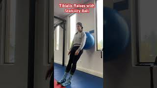 Tibialis Raises with Stability Ball [upl. by Langsdon]