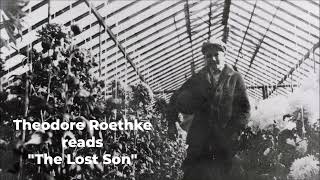 THEODORE ROETHKE reads quotThe Lost Sonquot [upl. by Lunseth]