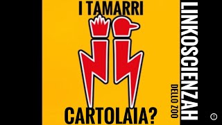 I Tamarri Cartolaia Hai gli scherzi di CarnevalA [upl. by Ralleigh]