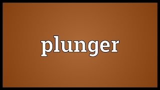 Plunger Meaning [upl. by Tayib]