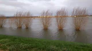 Hoogwater Heteren  Randwijk 28122023 [upl. by Ynafit868]