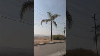 South Redlands California california [upl. by Amir]