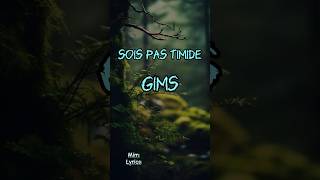 Sois Pas Timide Paroles  Gims shorts gims tendance musique [upl. by Suolevram]