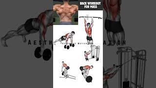 Upper Back Workout For Improved Strength amp Muscle  backworkout workout [upl. by Yemac125]