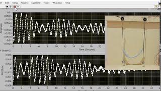 Coupled Oscillator [upl. by Aitetel]