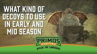 What Kind of Turkey Decoys to use in Early and MidSeason [upl. by Ripleigh]