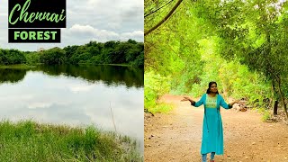 Beautiful place in chennai  Hidden Natural Park Forest  Adyar Eco Park Tholkappiyam poonga [upl. by Airpac]