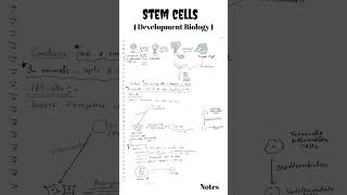 Stem cells  Stem cells Developmental Biology  Genomic equivalence and the cytoplasmic determinants [upl. by Flagler]