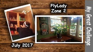 FlyLady Cleaning  Zone Two  July 2017 [upl. by Eveneg611]